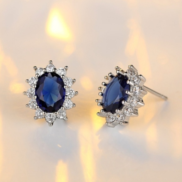 Fashion Jewelry Jewelry - $25 NWOT Earrings Blue